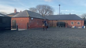 29K views · 2.6K reactions | After a lovely day at home riding lovely horses in The sunshine, Alfie did this! 18 years old and he still loves learning!  Now it’s my turn to head to the gym… 掠 Charles Owen Stierna Equestrian Sportswear Emerald Green Feeds Selleria Equipe horsehealth.co.uk HorseDialog | Ros Canter Eventing | Facebook