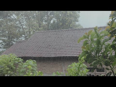 Calming Daytime Rain Sounds | Relaxing ASMR for Focus, Study & Deep Relaxation