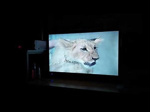 Opening Of Walt Disney: Aladdin VHS From 1993