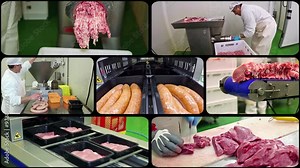 Meat Packing Industry - Multi Screen Video. Butcher at Work. Automatic Vacuum Meat Packaging in Modified Atmosphere. Meat Processing Workers on a Production Line.