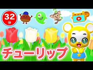 【32分連続】チューリップ&人気曲メドレー★NHK「おかあさんといっしょ」人気曲やまのおんがくか、おばけなんてないさ、むすんでひらいて、ちかてつ、動物たいそう等童謡・手遊び等全18曲★キッズ・ダンス
