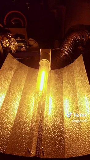 Understanding Gas Discharge Lamps in Chemistry