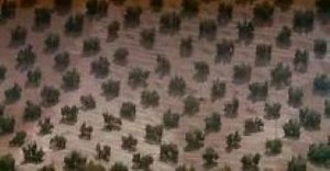 Поговори с ней (2002). Реж. Педро Альмодовар. 2 из 4