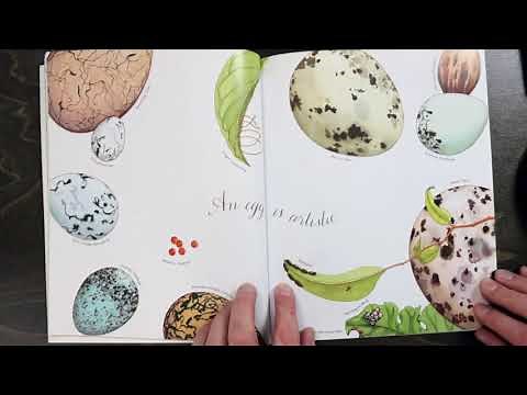 Story Time: An Egg is Quiet