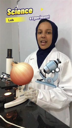 Exploring Onion Tissue Under the Microscope