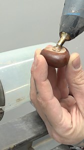 Unique Conker Pet Snack Holder | Craftopia