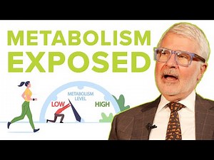 Dr. Herman Pontzer - Everything we know about metabolism is WRONG | Ep170