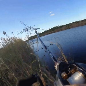 Once you’ve got the craving. There’s only one way to shake it off. | Fishbrain