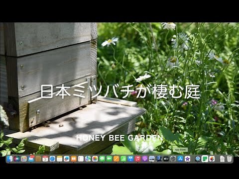 「花とミツバチ」日本ミツバチが棲む庭 紹介編 honey bee garden