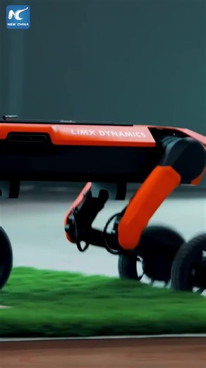 28K views · 231 reactions | See how a four-legged robot made by Chinese startup LimX Dynamics walks on complex terrains. | China Xinhua Sci-Tech | Facebook