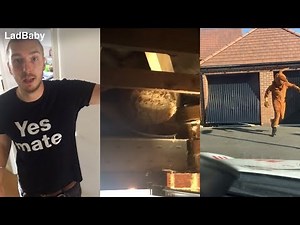 When dad tackles a wasps nest 🐝🤦‍♂