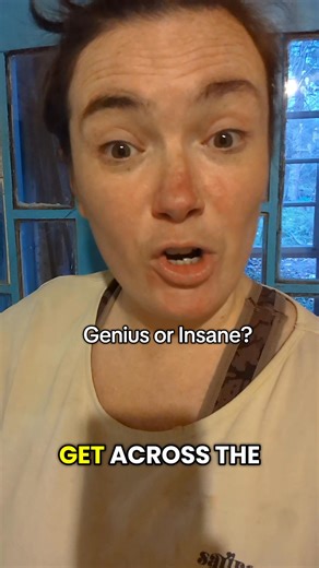 7.9K views · 184 reactions | What do you think? Is he insane?  #renovation #diy #village #villagelife #bulgaria | The Phoenix Project | Facebook