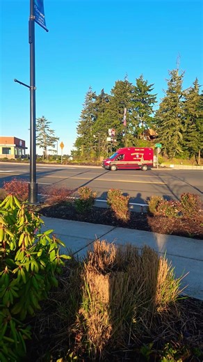 Did your drug deal go bad, thugs?