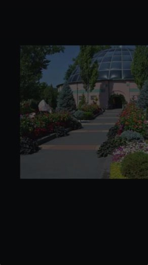 5K views · 133 reactions | Shell-ebrate good times—Orville is turning 120!  Join the birthday bash today at 11 AM & 2 PM for party fun, tortoise treats, and plenty of slow-motion excitement! Don’t miss the chance to wish this living legend a very happy birthday! 拾 | Reptile Gardens | Facebook