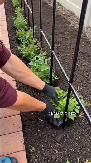 DIY Floral Garden Tunnel: Step-by-Step Build