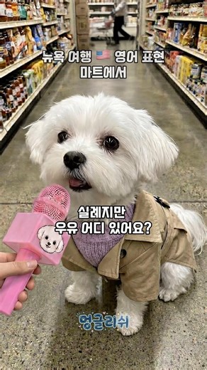 뉴욕 여행 🇺🇸 마트에서 #영어회화