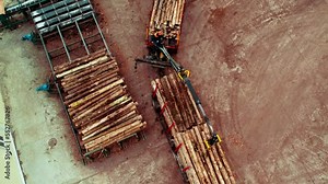 Loader loads logs in production. View from the top of the work of a loader that stacks pine trunks on a truck for further logistics transportation. Logging, timber processing factory.