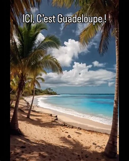 10 PLAGES EN GUADELOUPE QUI VONT TE FAIRE QUITTER TON JOB DÈS LUNDI MATIN ✈️💙 1. Grande-Anse (Deshaies) – La plus belle du monde. Sable doré, cocotiers penchés, vagues qui te massent le dos… tu pleures ou tu jouis, parfois les deux. 2. Malendure (Bouillante) – Fond noir volcanique, tortues qui te frôlent sous l’eau… c’est pas du snorkeling, c’est une caresse aquatique. 3. La Perle (Deshaies) – Sable rose, intime, coucher de soleil qui te fait oublier ton ex (et tous les suivants). 4. Raisins Cl