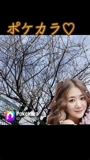 ポケカラで楽しむ本格採点カラオケアプリ