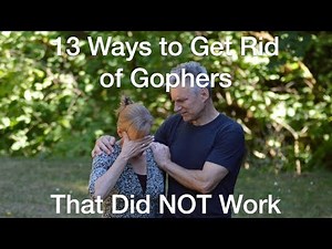 13 Ways To Trap Gophers That DIDN'T WORK & 1 That DID - AnOregonCottage.com