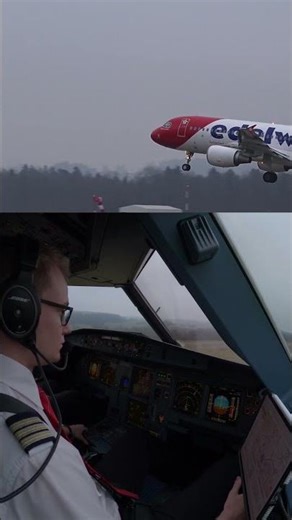 Cockpit & Outside Splitscreen of my Landing in Zurich!