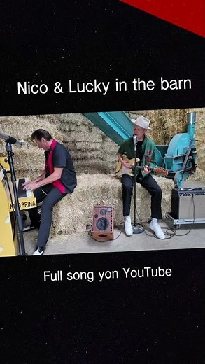 Nico & Lucky in the barn 🤠 I'm Steady (on my merry way) #blues #nicobrina #luckywüthrich