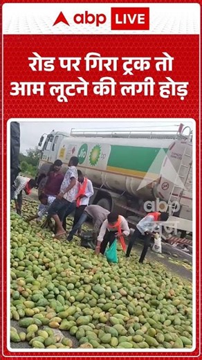 Viral Video | रोड पर गिरा ट्रक तो आम लूटने की लगी होड़ | #ytshorts #breakingnews