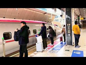東京駅で新幹線が到着する瞬間！迫力のスピード🚄 | 日本の高速鉄道#東京駅 #新幹線 #日本の鉄道 #TokyoStation #Shinkansen #JapanTravel #日本旅行 #鉄道