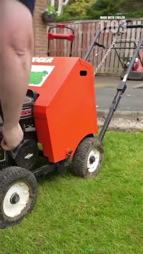 5 Pro Lawn Edging Techniques for a Magazine-Worthy Yard