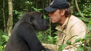 Gorilla Reunited with an Old Friend