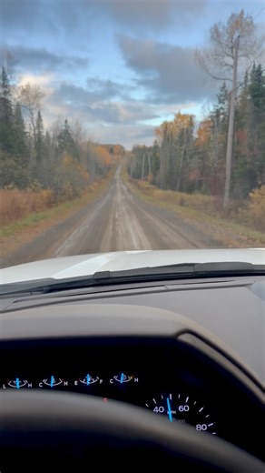 Hemphill Farms on Reels