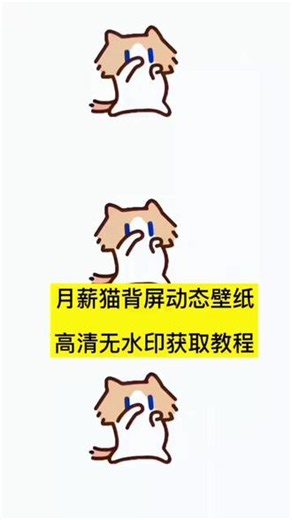 月薪猫背屏动态壁纸一键免费获取高清无水印原图月薪猫动态壁纸免费获取教程 月薪喵动态壁纸免费下载 月薪猫表情包 月薪猫背屏壁纸 月薪猫动图 月薪猫背景图 小米17 Pro背景猫咪跳舞 我真的特别爱你手势舞 小米耳机弹窗自定义动画 月薪喵动态壁纸 月薪喵背屏动态壁纸 耳机弹窗自定义动画 小猫表情包 月新喵表情包 takeru猫 月新喵动态图 小猫捂鼻子扇空气表情包 卡通小猫捂鼻子表情包 月薪