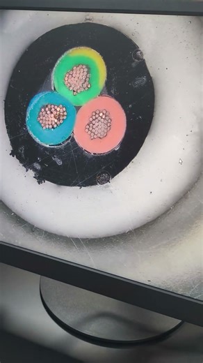 CCD microscope operation video.