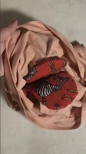 Menstrual panties with replaceable insert (registered design)