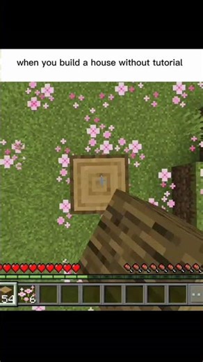 hmmm when you build a house without tutorial