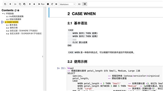 A14 SQL条件语句——-CASE WHEN与动态过滤