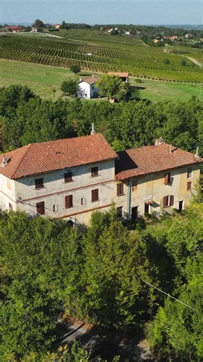 Bros of Decay on Reels