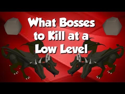 What Bosses Should I Hunt as a Low Level? [OSRS]