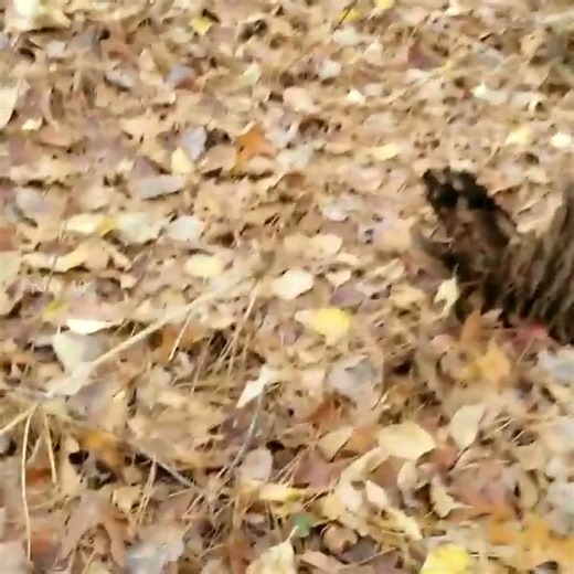 11K views · 159 reactions | Part 3 Lake Drain Culvert Collapsing, Causing Sinkhole Flood Hazard | Post10 | Facebook