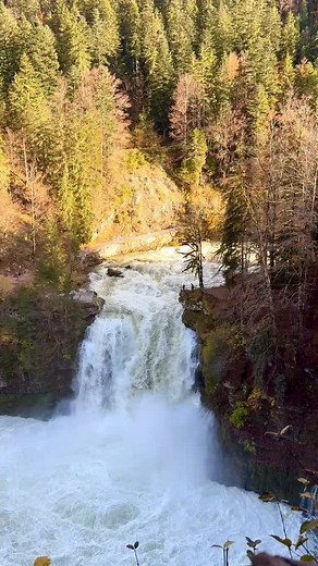 Le Saut du Doubs a un débit de 125m3/s, aujourd’hui 💦Venez l’admirer avec les Bateaux du Saut du Doubs ! | Bateaux du Saut du Doubs