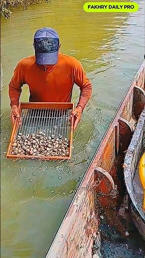 HEAVENLY SOUNDS! How Fishermen Clean Thousands of Shells Manually #viral #work #farming #seafood