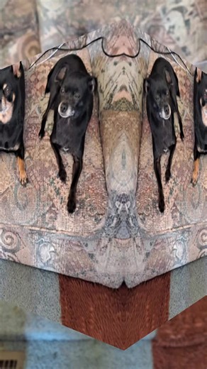 veronica (@conica1979)’s videos with original sound - veronica