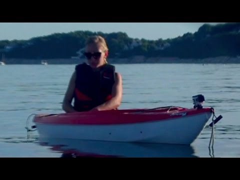 Great white shark attacks kayakers