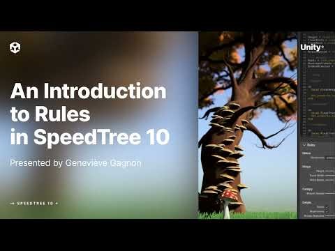 Rules Intro SpeedTree10 unity