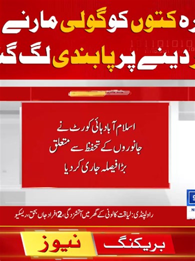 آوارہ کتوں کو گولی مارنے اور زہر دینے پر پابندی لگ گئی #Islamabad #Govt #Pakistan #Virus #sunonewshd