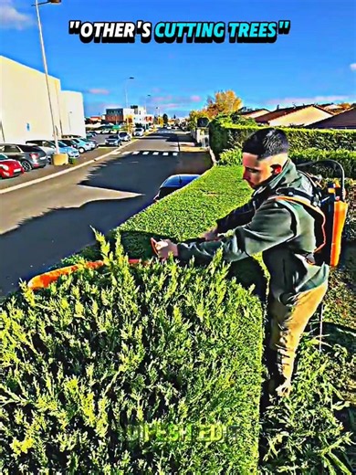 OTHER'S CUTTING TREES🥶#trading #trollface #trollfaceedit