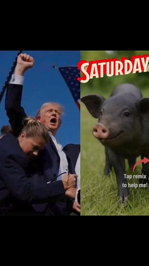 Pig smooches Secret Service agent #kisses and she #kisses back🤭🫡 #follower #foryoupageviralシ゚ | J Mapxz Fan