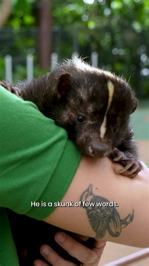 "What we love about KidzWorld is you never know which animal you're go...