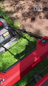 Master Wet Grass Mowing: Pro Tips Revealed!