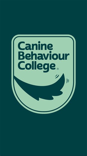 There are lots of behaviour courses. 🎓 There is only one qualification like this. 🐾✨ The Level 6 Diploma in Clinical Canine Behaviour is the first and only Ofqual-regulated qualification of its kind, and it was built to solve a huge problem in the industry: people trying to piece together courses, CPD, and lower levels that don’t prepare them for real behaviour work. This diploma is different because it gives you: Regulated Level 6 qualification — the same level as the final year of a bachelor